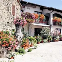 Najlepši balkon je zacvetel na Tatrah