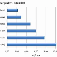 Najdražja je letos energija iz utekočinjenega naftnega plina, sledita kurilno olje in zemeljski plin, najcenejši je les 