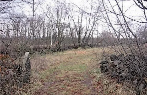 Luka je na Orleški gmajni kupovala zemljišča za potrebe sežanskega zalednega terminala.