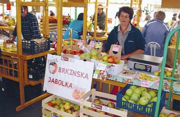 Stojnice se bodo šibile pod jabolki vseh sort