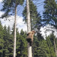 Jurka že raziskuje višave svojega novega domovanja