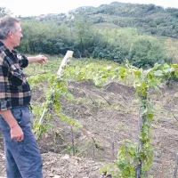 Oskarju Birsi je plaz odnesel nov vinograd