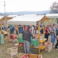 Na prazniku jabolk so na stojnicah seveda kraljevala jabolka