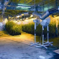 Ljubljanski policisti odkrili enega največjih laboratorijev za gojenje marihuane