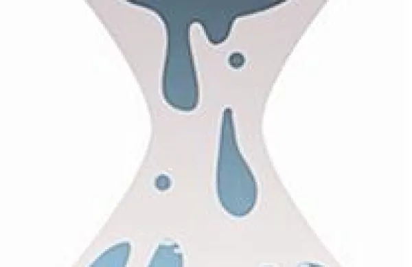 Spletna stran WikiLeaks je onemela že 29. septembra