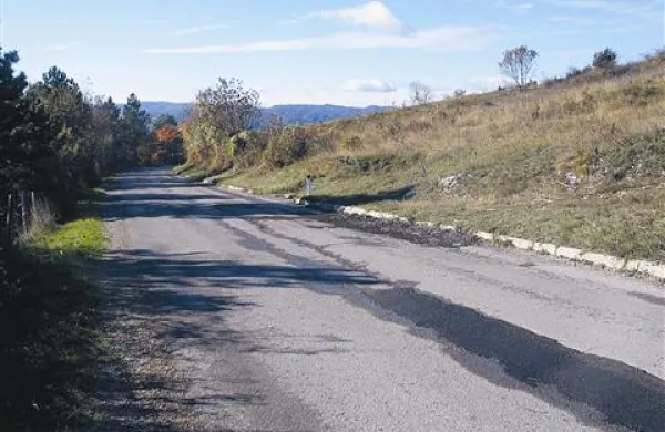 Pokojni domačin je za psom skočil na cesto z desne strani in, kot vse kaže, spregledal tovornjak