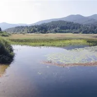 Mokrišča so rezervoar čiste vode (na fotografiji Cerkniško jezero)