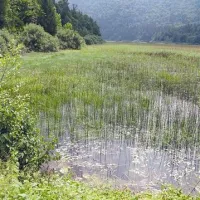 Cerkniško jezero