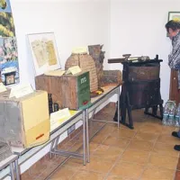 Z razstave o stotih letih razvoja Žnideršičevega AŽ panja  