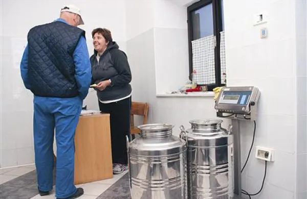 Ustrezna posoda za transport oljčnega v oljarni Krožera pri Franki Marzi 