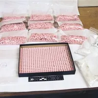 Zaseženih 7750 tablet ekstazija in  pol kilograma druge droge