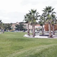 Ankarančani po koprskem zgledu že imajo palme, bodo dobili še stadion?