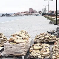 Posebnost so veliki bloki iz peščenjaka, ki sprehajališče ločujejo  od bodočega parka.