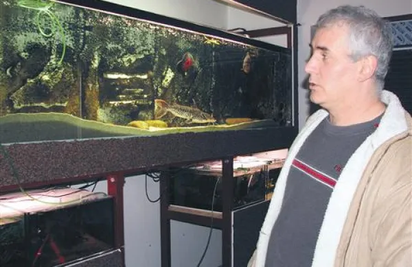 Valter Majnik je uredil najbolj pester akvarij v Sloveniji in zašel v resne denarne škripce. 