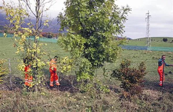 Britanski brezposelni naj bi pometali ceste in urejali javne površine. Fotografija je simbolična.