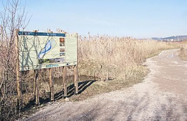 V petek 19. novembra ob 9.30 bo v naravnem rezervatu Škocjan svečana otvoritev tipnega modela namenjena  slepim in slabovidnim obiskovalcem.