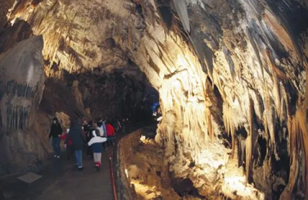 Zaradi specifičnih klimatskih razmer in velike vlage v jami bolniki z astmo in kroničnim obstruktivnim bronhitisom lažje dihajo, se lažje odkašljajo in se splošno bolje počutijo.