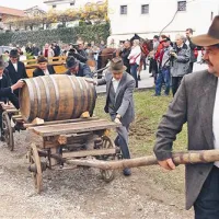   Vino so na Vogrsko pripeljali v starih kmečkih opravah.