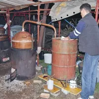 V Velikih Žabljah so martinovanje začinili s tridnevnim festivalom šnopca in jote. Posebnost je pomenil prikaz kuhanja tropinovca po starem. 