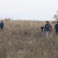Slani travnik pri Svetem Nikolaju je od leta 2004 del ekološke mreže Natura 2000