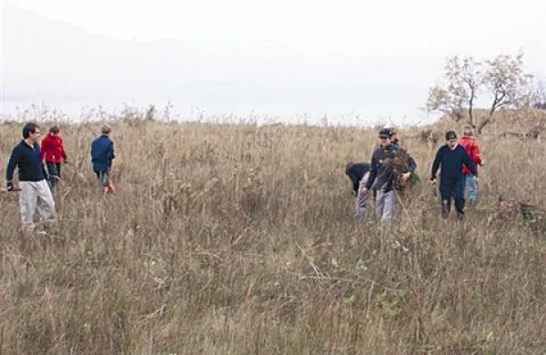 Vnovič temeljito očistili ankaranski slani travnik