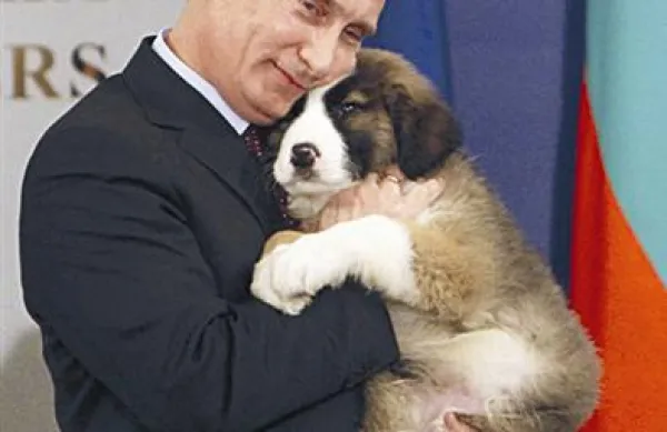 Putinov novi najboljši prijatelj, star dva meseca in pol, bo odrasel tehtal do 50 kilogramov.