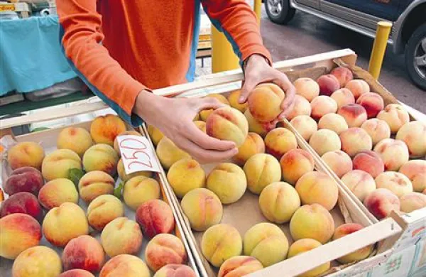 Pridelovalci naj bi imeli velike težave zaradi neorganiziranosti odkupa.