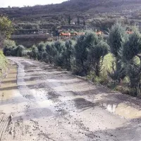 V ozadju tovornjaki, ki so odvažali izkopni material na deponijo Šared, v ospredju občinska cesta do gradbišča. Na  poškodbe sta  v volilnem času opozarjali SD in lista Združeni za Izolo. 