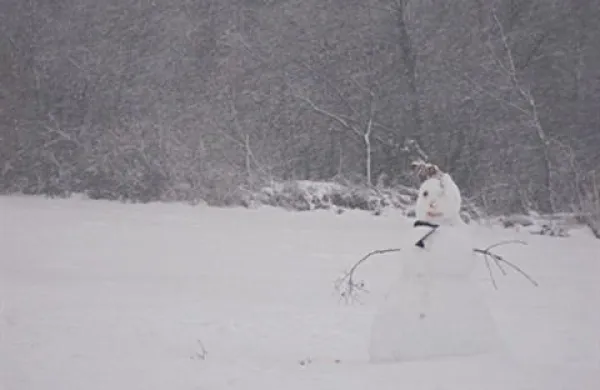 Jutri popoldne bo Slovenijo ponovno zajel val sneženja, ki bo v sredo prešel v dež.