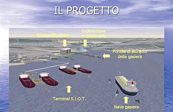 Po ugotovitvah skupine znanstvenikov iz tržaške univerze bi terminal kar dvakrat ali celo trikrat na leto uporabil celotno količino vode v Miljskem zalivu. Kombinacija uporabe klora za čiščenje cevi, termičnega šoka in stresa, ki bi ga za morske organizme predstavljal prehod skozi črpalke obrata, pa bi privedla do dejanske sterilizacije voda v Miljskem zalivu.