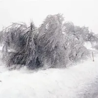 Primorsko obdaja leden oklep
