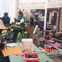  KZ Agraria prideluje  integrirano pridelano zelenjavo in sadje