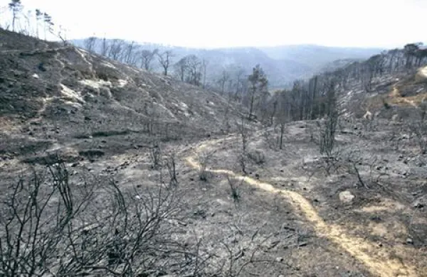 Gasilci so še vedno prizorišču in stražijo, da se ogenj ne bi znova razplamtel 