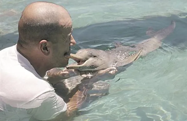 Mladi delfin je ženskega spola