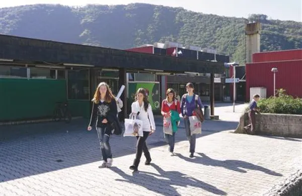 Kadrovske štipendije so na voljo predvsem    dijakom in študentom tehničnih smeri.