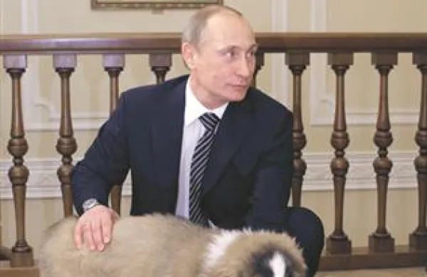 Putin je psa poimenoval Buffy