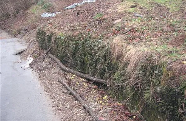 Gasilci so plaz prekrili s folijo, a zemlja še vedno drsi proti cesti in domačiji