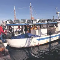 Ribiška barka Levante iz Kopra je edina opremljena z ustrezno mrežo za izlov cipljev “šekalevo” ali krožno mrežo