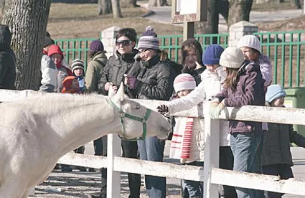 Lipica bo iztekajoče se leto proslavila v pestrem prazničnem vzdušju.