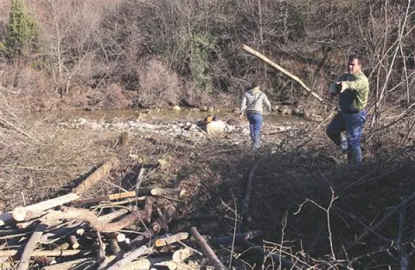 V strugi reke Rokave za zdaj zgolj čistijo zemeljske naplavine in sekajo drevesa, ki ovirajo pretočnost vode 