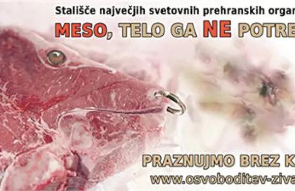 Na Primorskem lahko jumbo plakate zasledimo v Novi gorici v Prvomajski ulici in v Kopru v bližine trgovine Agrarija. 