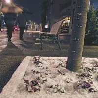 Koprska snežna idila razveselila domačine
