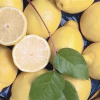 Med prebolevanjem viroze je pomembno užiti veliko C vitamina, najbolje v naravni obliki