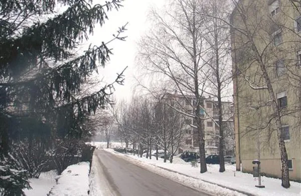 Rozmanove ulice, Ulice IV. armije ter priključka na Podgrajsko cesto še ne bodo obnavljali, saj je projekt obnove zaustavljen
