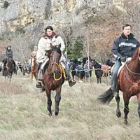 Prihod v Zanigrad