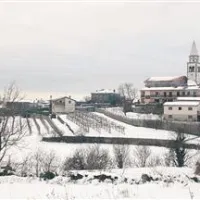  Okoli vasi se razprostirajo številni vinogradi in ni skrivnost, da znajo Pliskovljani iz grozdja pridelati prvovrsten teran
