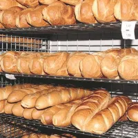 Primorske vrste črnega kruha so večidel le obarvan beli kruh 