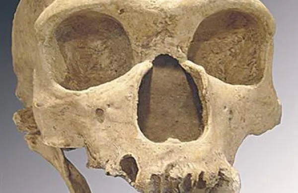 Neandertalci so pred približno 170.000 leti živeli v nekaterih delih Evrope, osrednje Azije in Bližnjega vzhoda, vse sledi za njimi pa so izginile pred 28.000 leti.