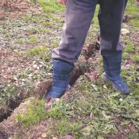 Virgilij Šukljan lahko v razpoko, ki se začne približno pet metrov od hiše in nadaljuje čez vrt do barake, potisne stopalo