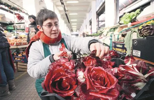 Radič goriška vrtnica ni bil nikoli poceni; na goriški tržnici so ga včeraj prodajali po 24,90 evra za kilogram, v grosistični trgovini pa po 19,10 evra. V Sloveniji je solkanski radič nekoliko cenejši, a pod 14 evrov za kilogram gotovo ne.